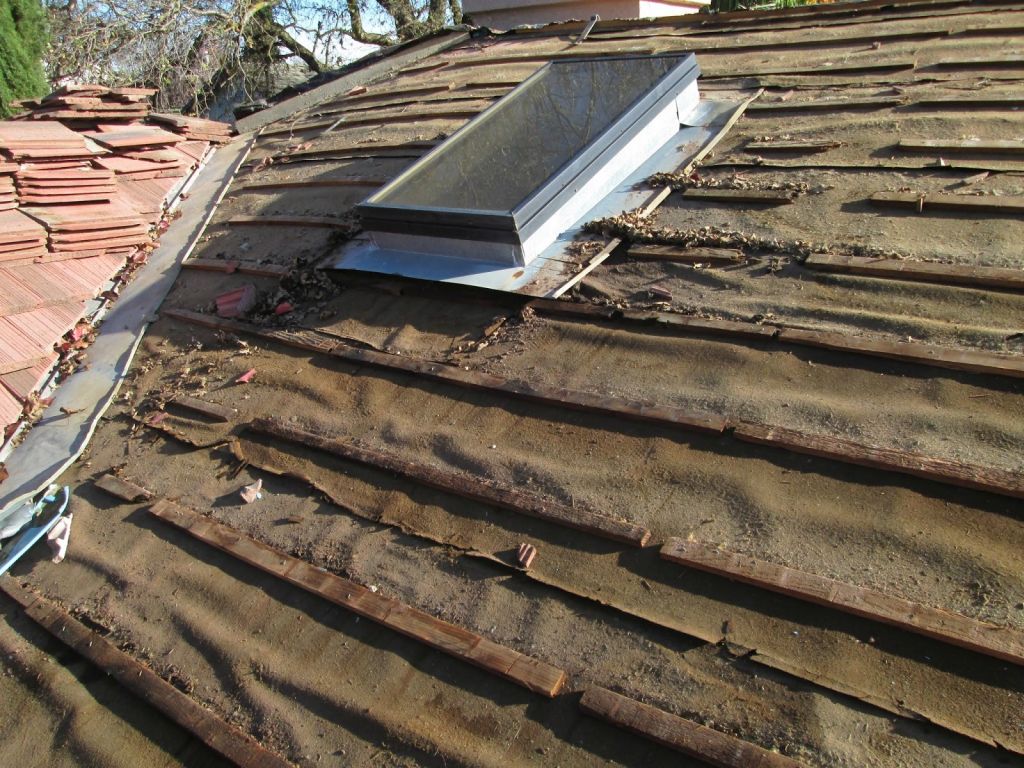 Roof Replacement in Luther, OK 73054